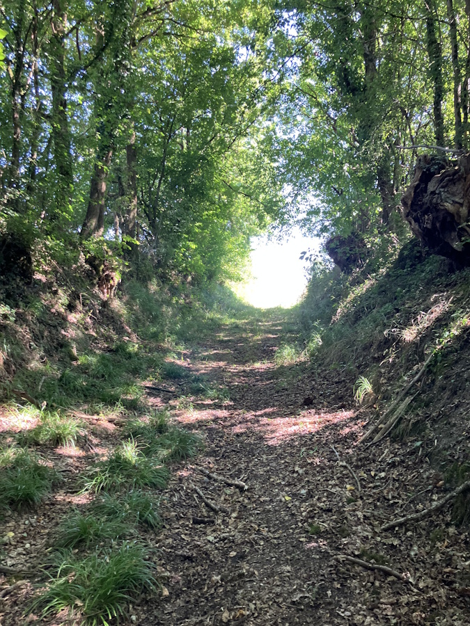Tous les chemins mènent à Villedieu le Château ! (1/3)